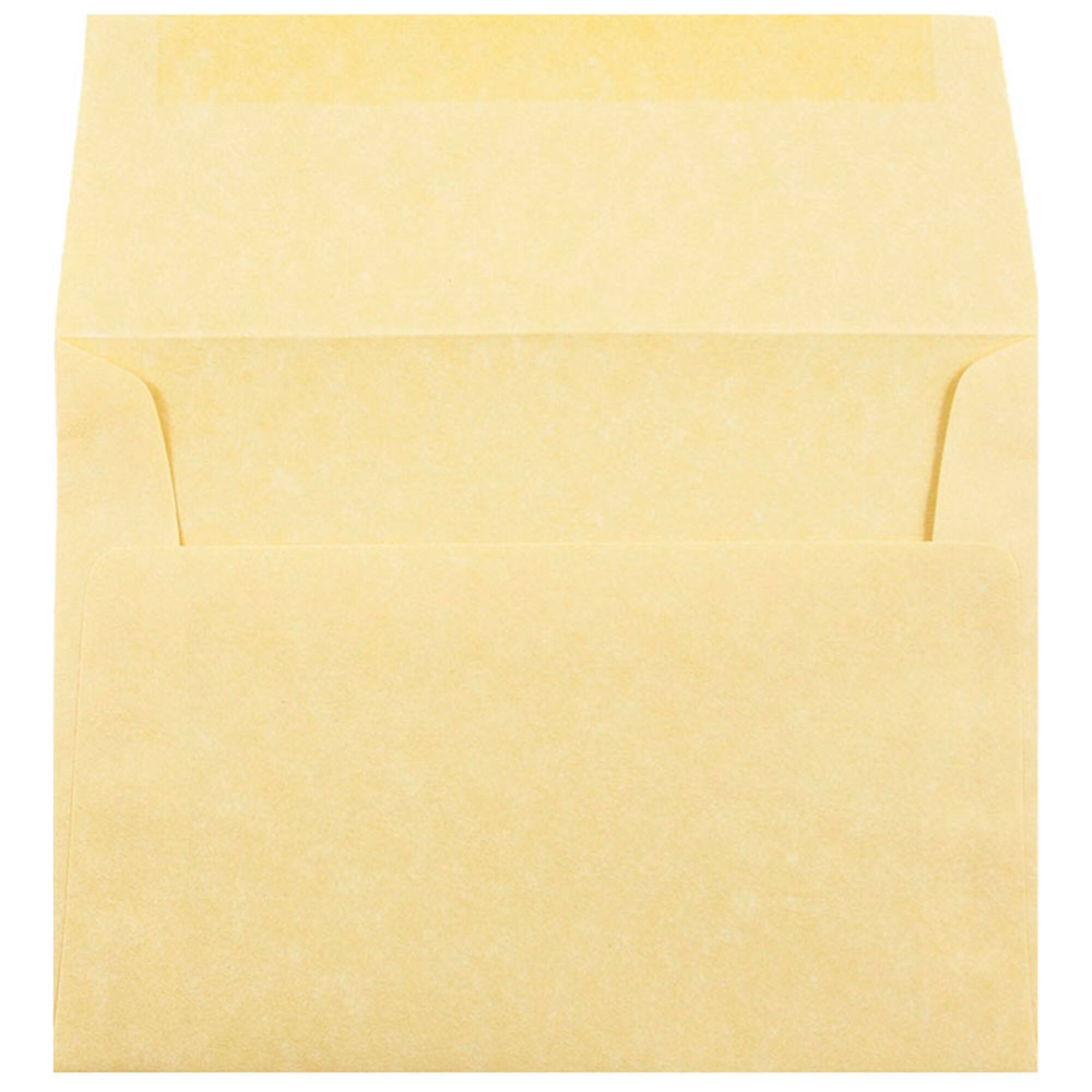JAM Paper 4.75" x 6.5" Parchment Invitation Envelopes